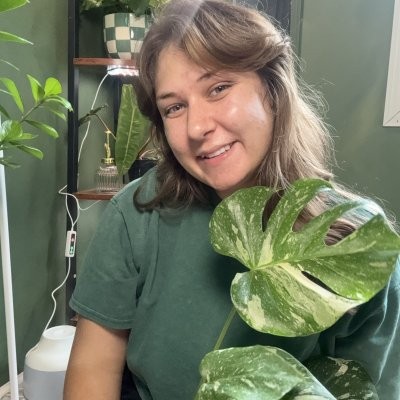 RootedByRachael profile photo
