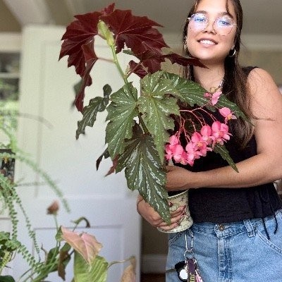Julias.botanicals profile photo