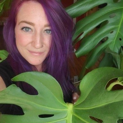 Plant Sitter in Rhode Island - In-Home Plant Sitting - Foster, RI 02825