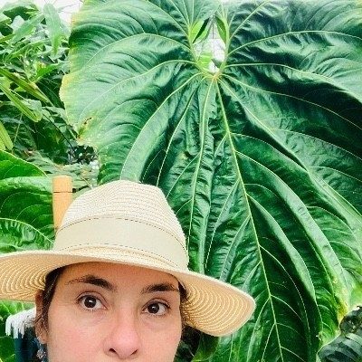 Plant Sitter in NorthEast Los Angeles & Pasadena area