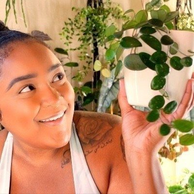 Plant sitter in the SF Bay Area/ East Bay - In-Home Plant Sitting - Stockton, CA 95209