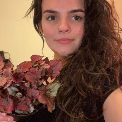 Plant sitter in Manchester NH - Drop-In Visits - Manchester, NH 03103
